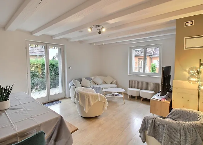 Maison Spacieuse A Colmar, 5 Chambres, Terrasse, Wifi, Parking Gratuit - Fr-1-722-12