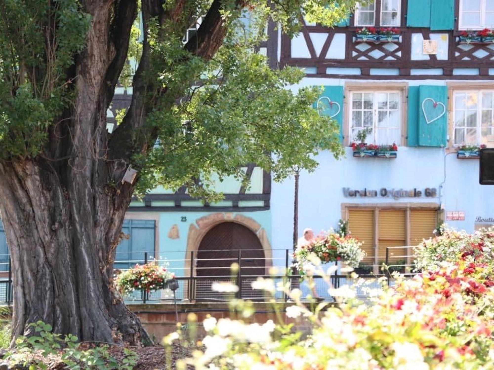 Maison Spacieuse A Colmar, 5 Chambres, Terrasse, Wifi, Parking Gratuit - Fr-1-722-12